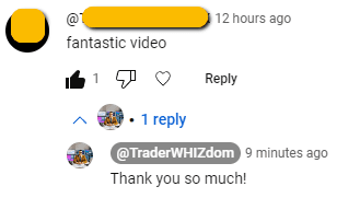 Screenshot of a YouTube comment saying 'fantastic video' and a reply thanking them.